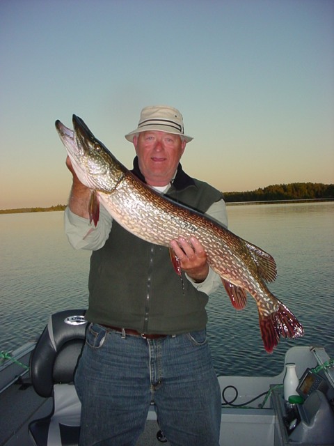 Charlies 39 1/2 inch northern!